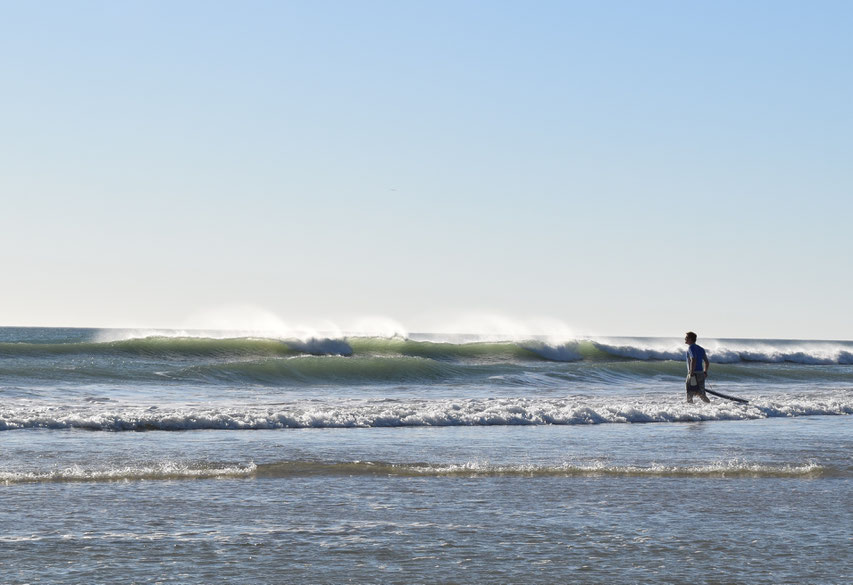 Tarifa surf