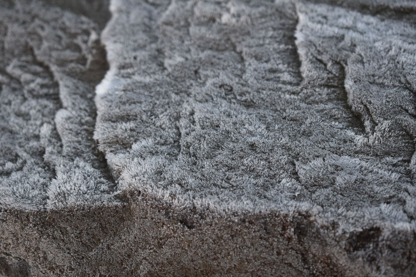 frost on rock