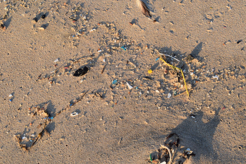 Microplastic - Atlantic ocean plastic, Portugal beach clean