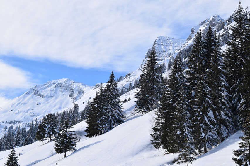 Winter snow, Morgins, Switzerland 