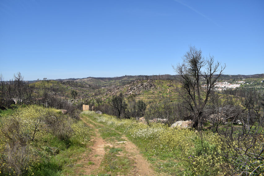 path, wildflowers and Belver, Portugal