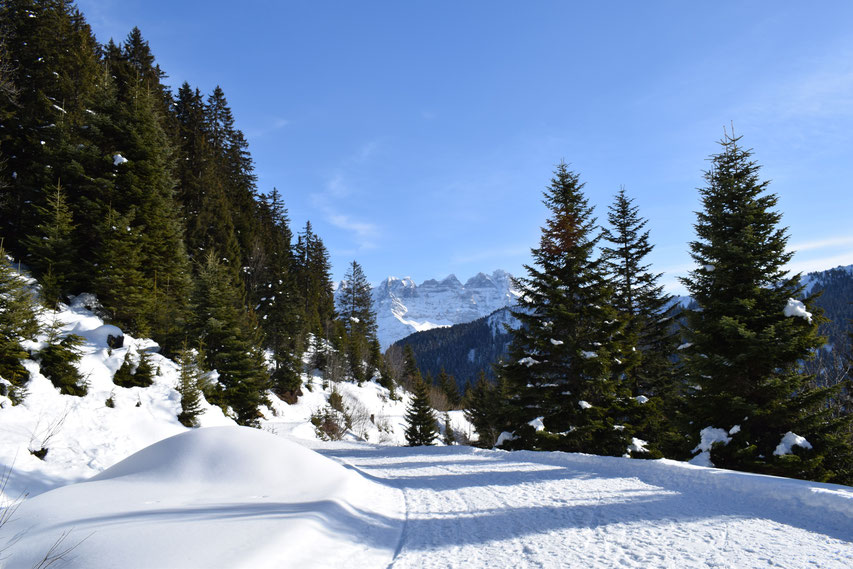 Winter snow, Morgins, Switzerland 