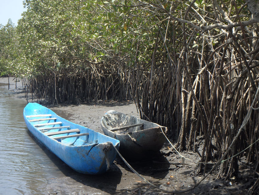 dug-out canoes Tumani Tenda Gambia