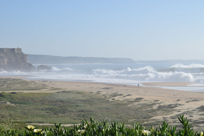 huge waves, surf, Praia do Norte, Nazaré