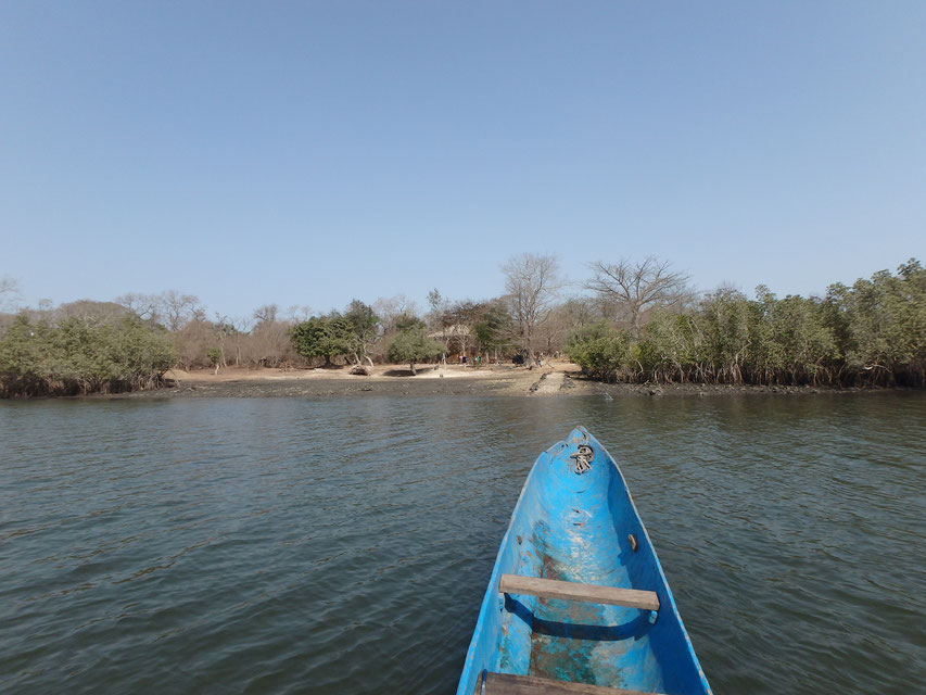 Tumani Tenda eco camp Gambia