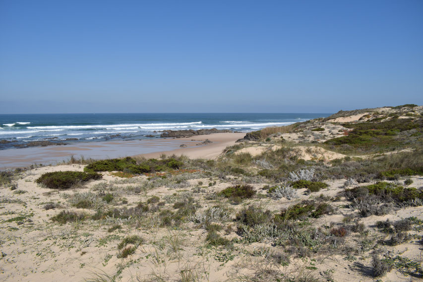 Sand dunes at Malhão beach, Portugal