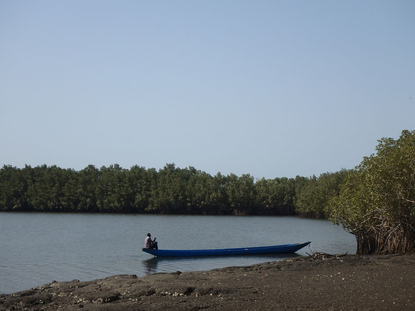 dug-out canoe