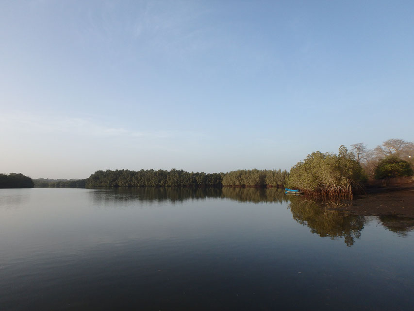 mangroves and canoe, Tumani Tenda, Gambia