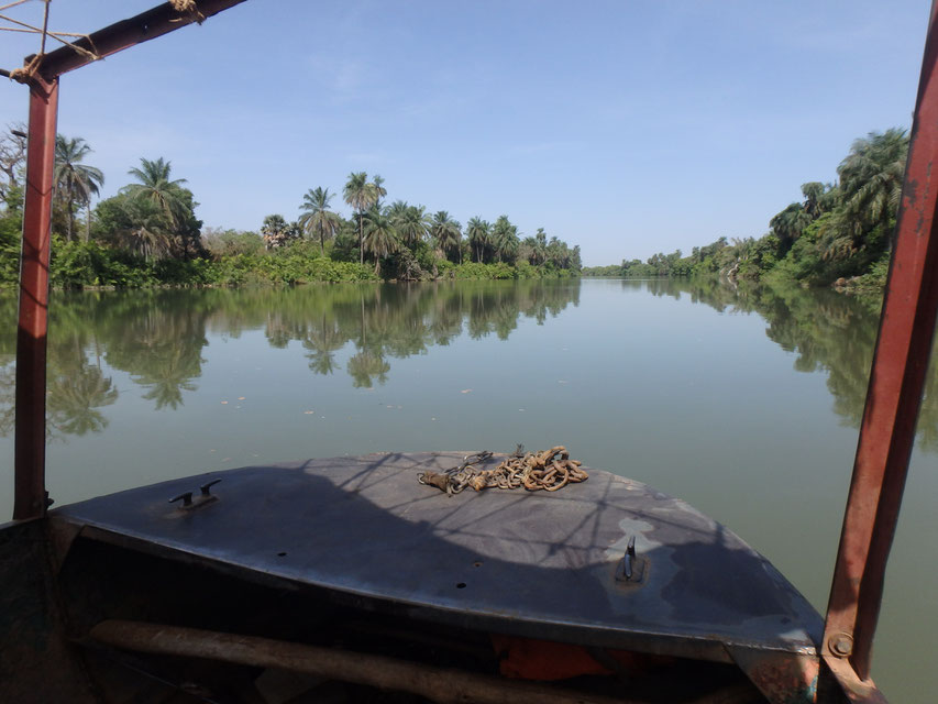 River Gambia boat trip Janjanbureh