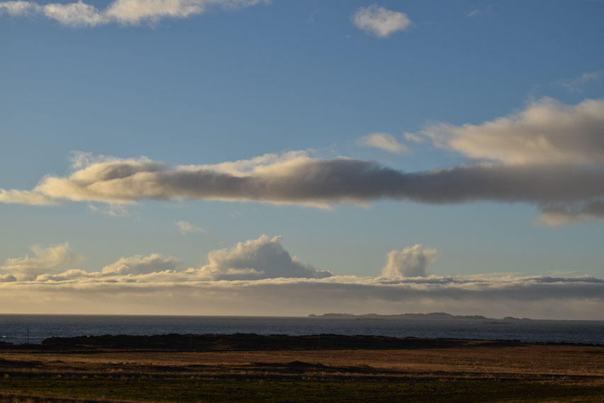 Papey, East Fjords, Iceland