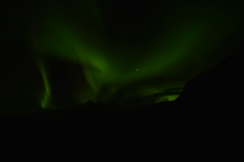 Northern lights, aurora, East Fjords