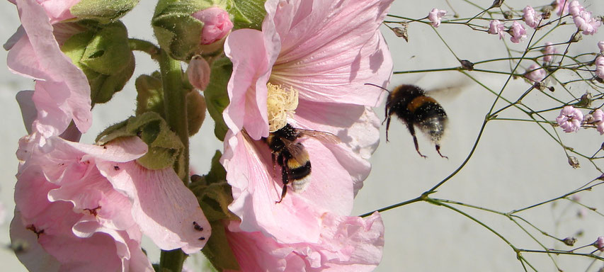 ©www.lichtwesenfotografie.com Wir beim "sunshine - lunch"