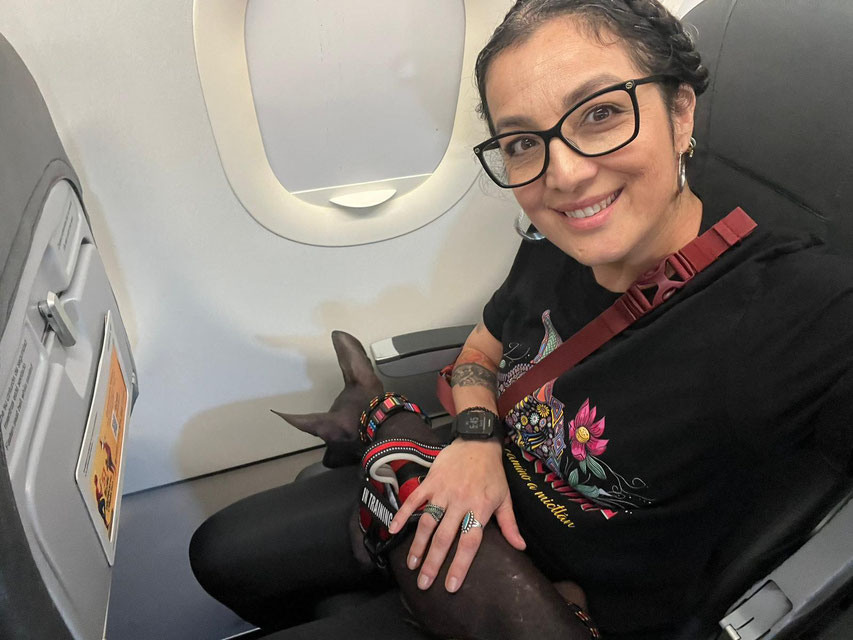 Dayanara con el xoloitzcuintle Mezcal Tonalli rumbo a Illinois (Foto compartida por Dayanara)