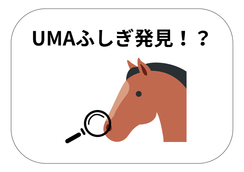 UMAふしぎ発見！？
