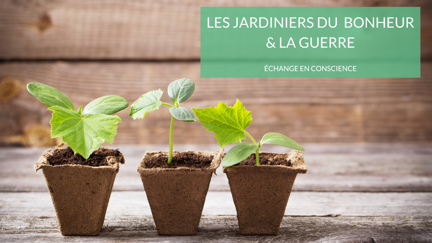Balançoire au-dessus de la jungle