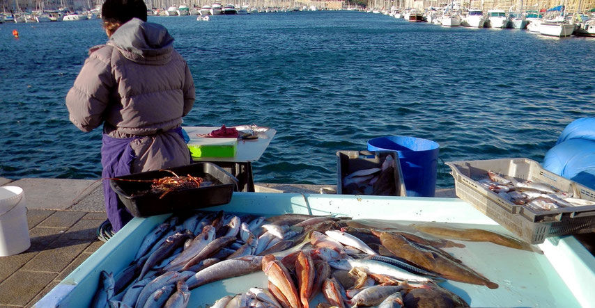 Verkauf von Fischen am Vieux Port
