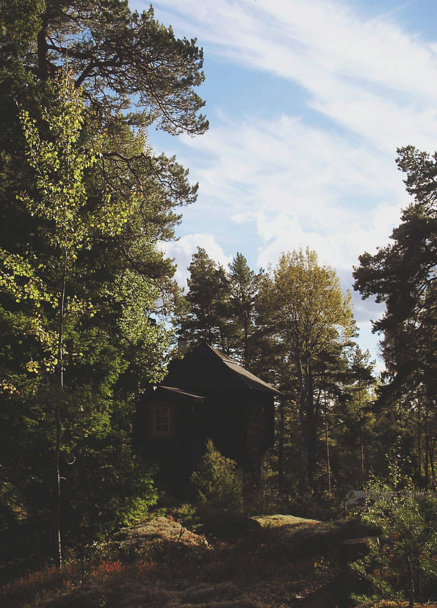 cabane datcha bigousteppes suède bois forêt