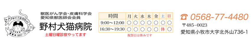 日曜も診療している小牧市の動物病院です。
