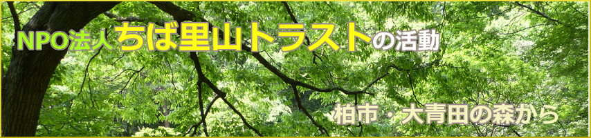 柏市北部の里山を保全する活動の紹介ページ