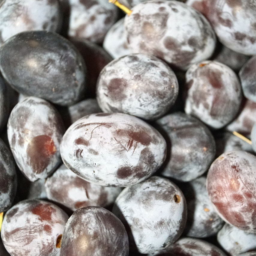 In Wein eingekochte Würz-Zwetschgen - zimtkringel - about food