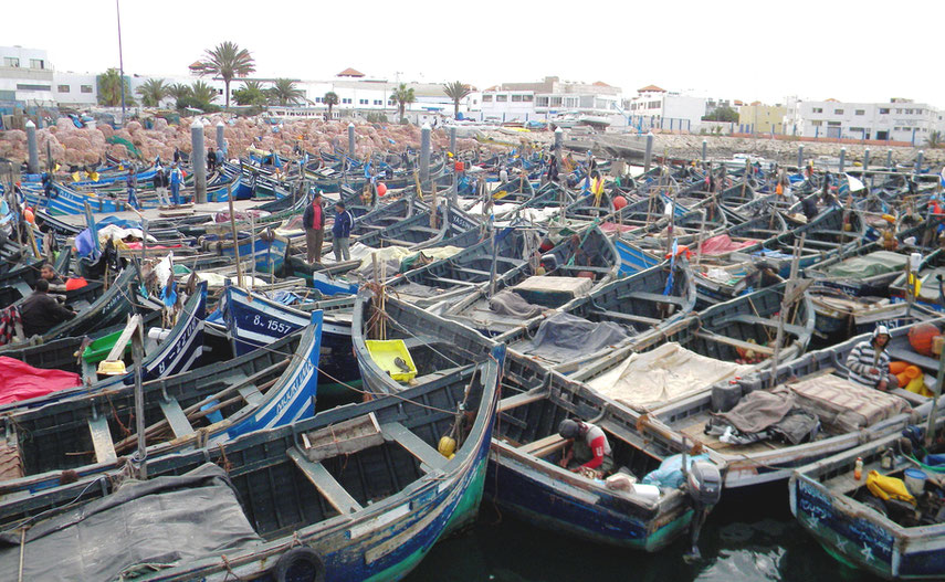 Fischerboote in Agadir