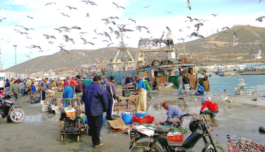 Fischereihafen