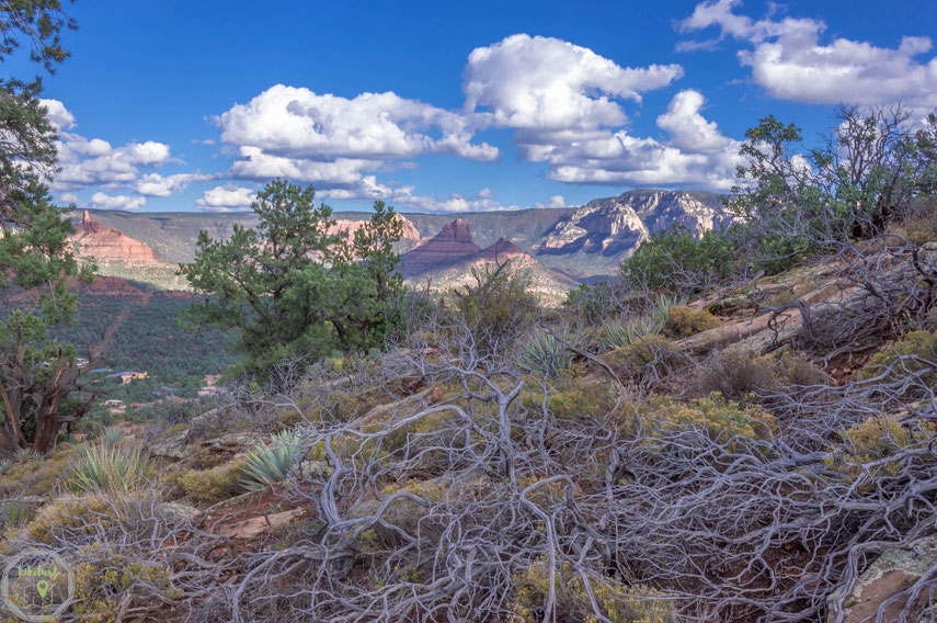 Sedona Sugarloaf Mountain Arizona