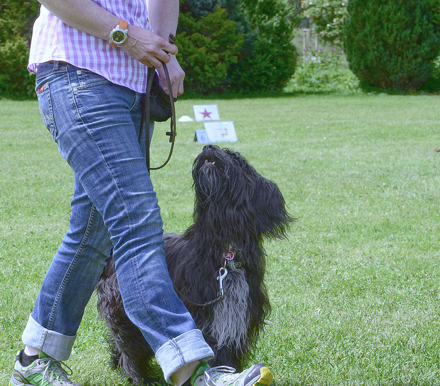 Rally Obedience really for fun