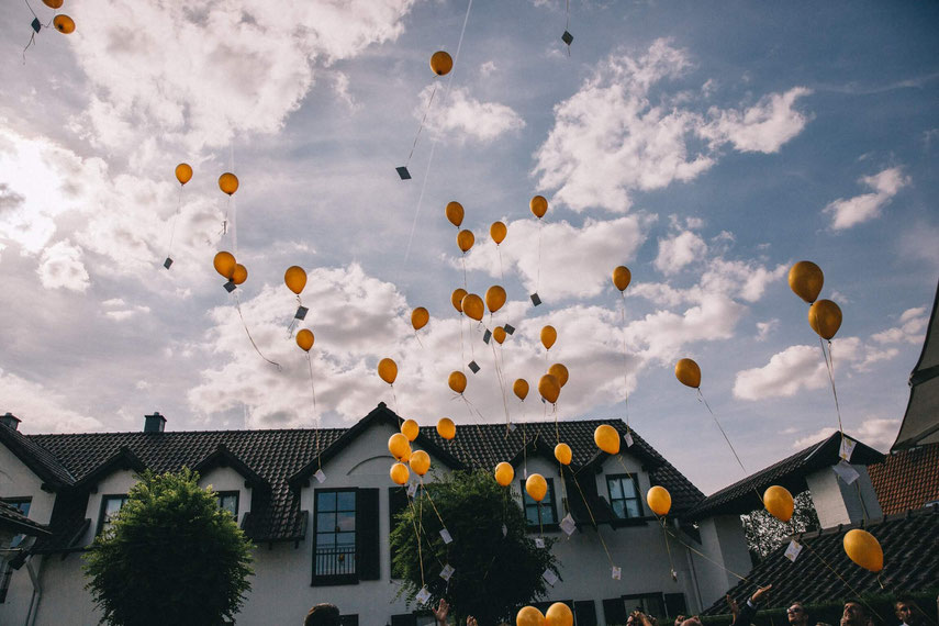 Die Freie Trauung in Willich. Das Golden Couple: Findet Ideen, Tipps und Inspirationen für eure Hochzeit, heiraten in Willich, NRW, Hochzeitsreportage, gefunden auf philosophyl