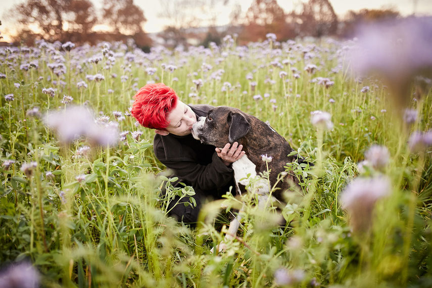 Tierfotograf Hundefotograf Fotograf Fotostudio Hund Welpe Welpen Hunde Fotoshooting Rheinfelden Lörrach Basel Freiburg im Breisgau Bern Schweiz Zürich Hundefotografie Hundeshooting Hundefotoshooting Hundefotos Hundeportrait Hundeporträt Rassehund