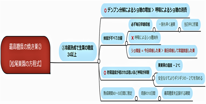 松尾栗園の方程式②　～糖度40の焼き栗の作り方～