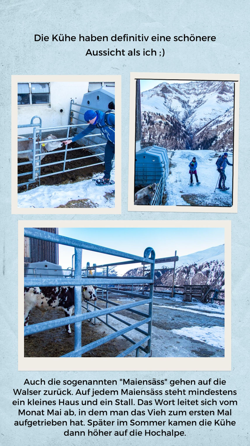 Winterlandschaft im Safiental entlang des Schneeschuhtrails Camana