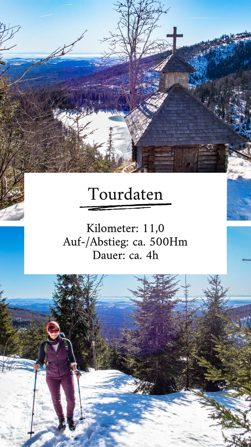 Winterwanderung auf den Großen Rachel im Nationalpark Bayerischer Wald