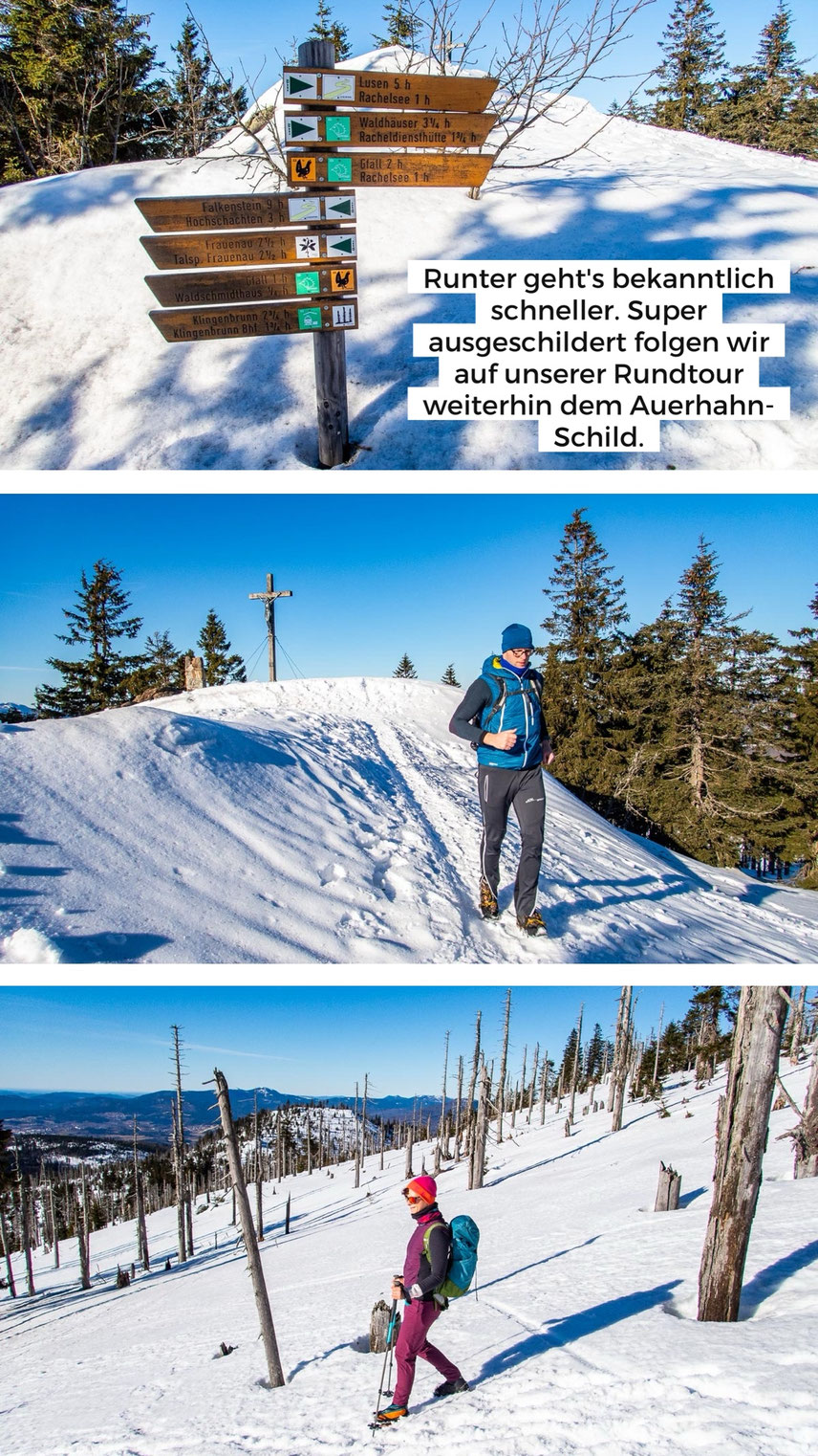 Aussicht vom Großen Rachel im Winter über den Bayerischen Wald