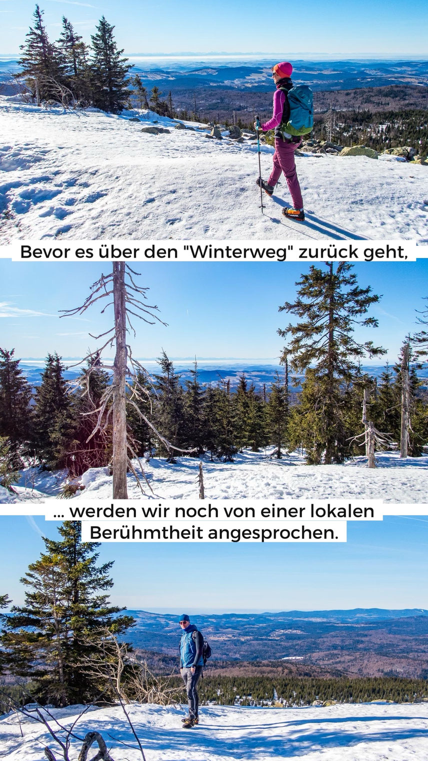Panoramablick vom Lusen im Winter über den Bayerischen Wald
