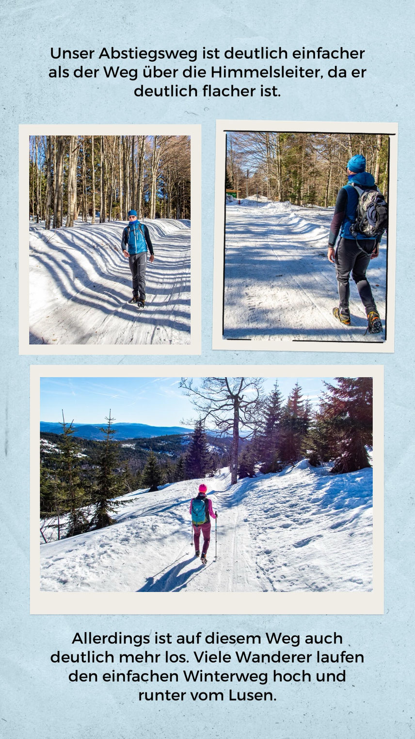 Winterliche Landschaft im Nationalpark Bayerischer Wald am Lusen