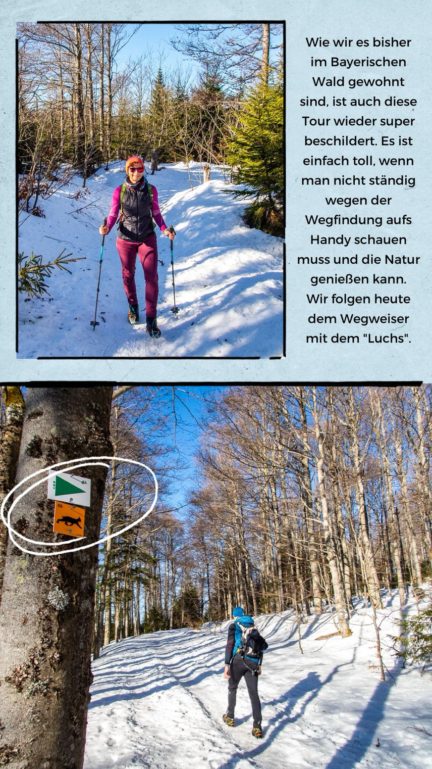 Aufstieg über die Himmelsleiter bei der Winterwanderung auf den Lusen
