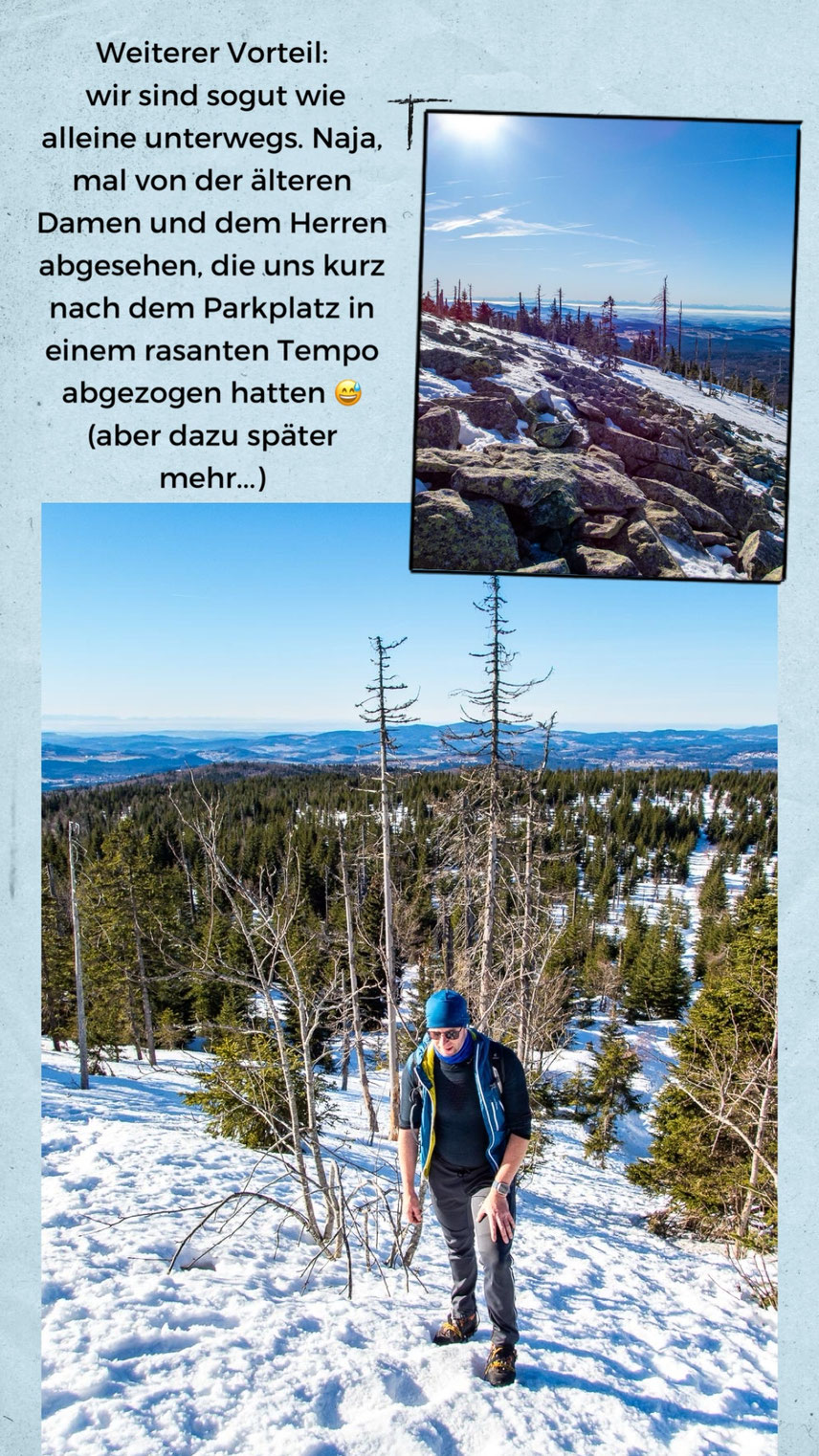Felsenmeer am Gipfel des Lusen im Winter