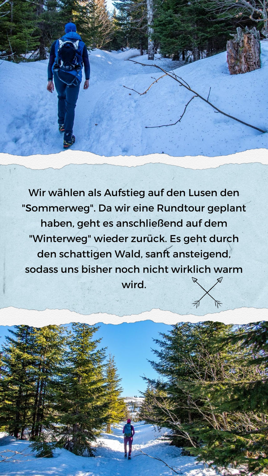 Aufstieg über die Himmelsleiter bei der Winterwanderung auf den Lusen