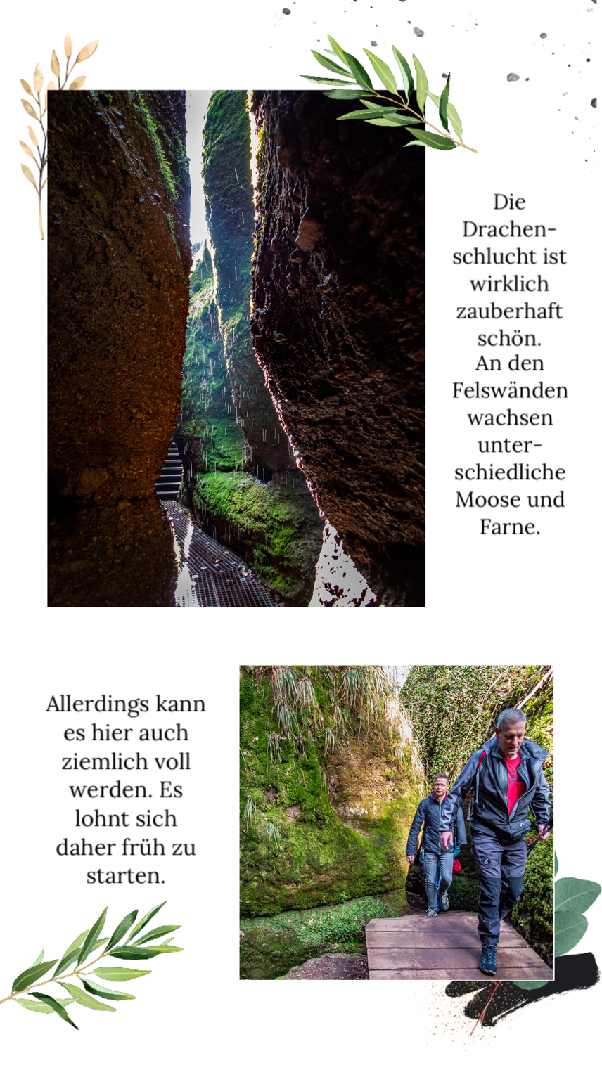 Abwechslungsreiche Wanderung im Mittelgebirge Thüringer Wald - durch die Drachenschlucht, hinauf zur Wartburg und durch die Landgrafenschlucht. Diese Tour muss du unbedingt einmal gemacht haben.