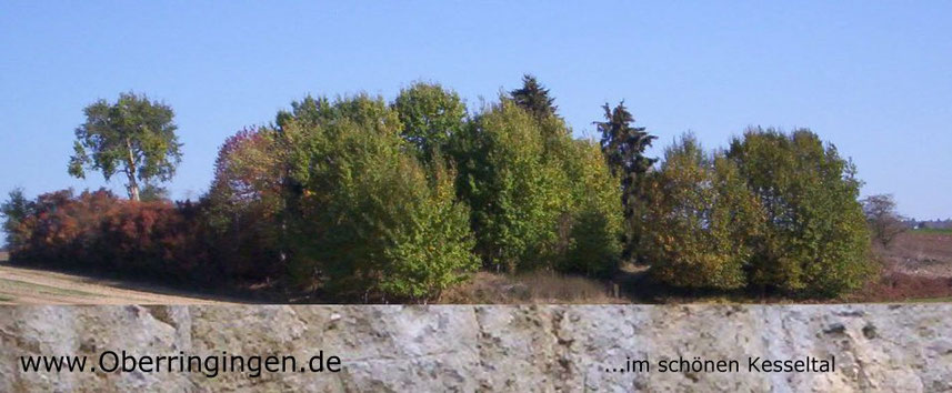 Foto: Eigen