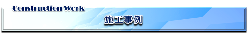 兵庫県,大阪府,京都府,奈良県,滋賀県の害獣・害虫駆除,施工事例