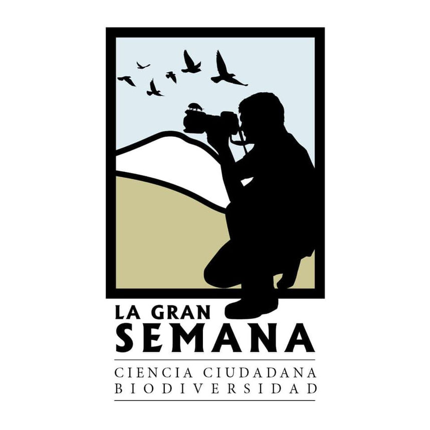 Mirmecologia Mirmecología