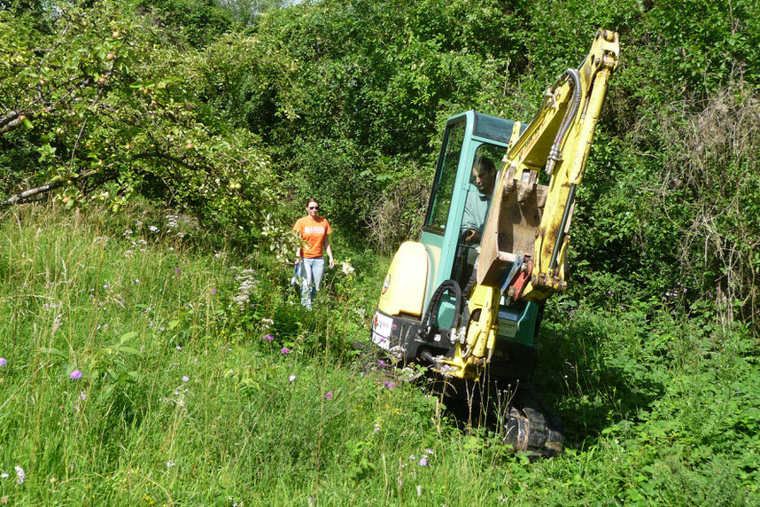 Biotoppflege-Einsatz auf einer Streuobstwiese