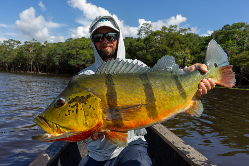 Peacock Bass Colombia fishing jungle