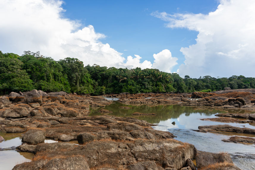 colombia jungle fishing trip