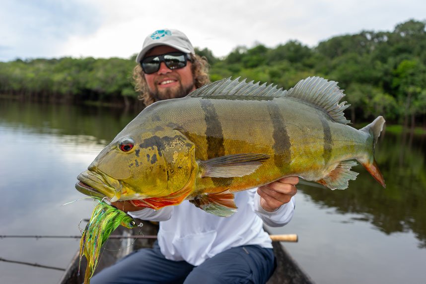 Peacock Bass Colombia fishing chacha chatterbait BiM