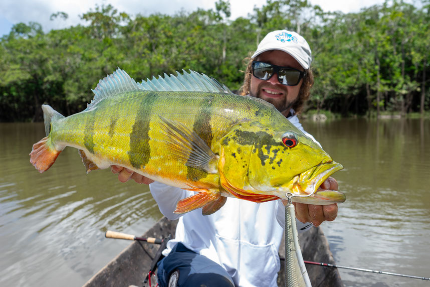 Peacock Bass Colombia fishing fishman