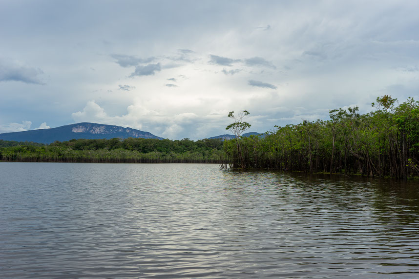 Peacock Bass Colombia fishing mountain 