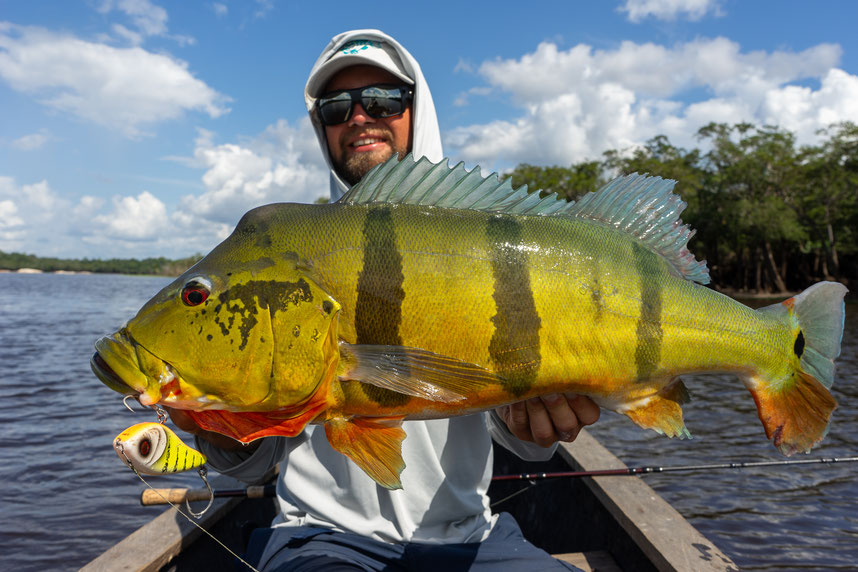 Peacock Bass Colombia fishing westin jungle 